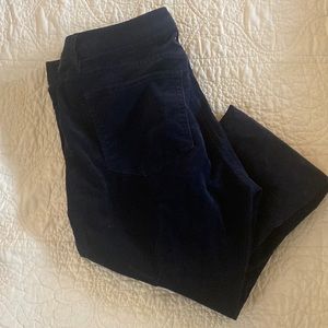 LOFT navy cord pants